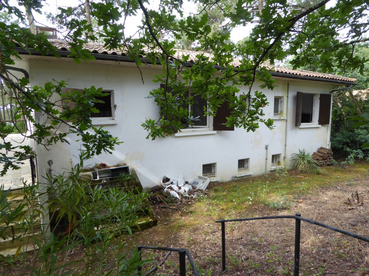 La Maison de Famille au Cap Ferret 2019 : P1090778.JPG