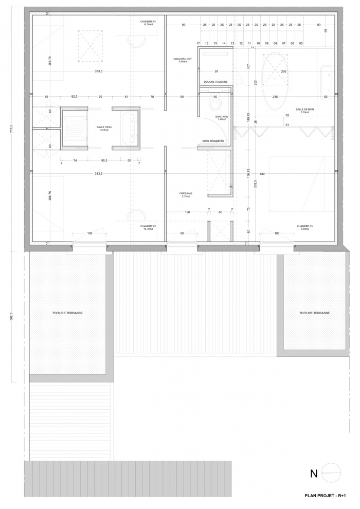 Rnovation choppe F : Plan projet / R+1