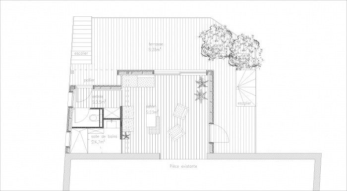 Extension de maison avec terrasses et accès : image_projet_mini_75903