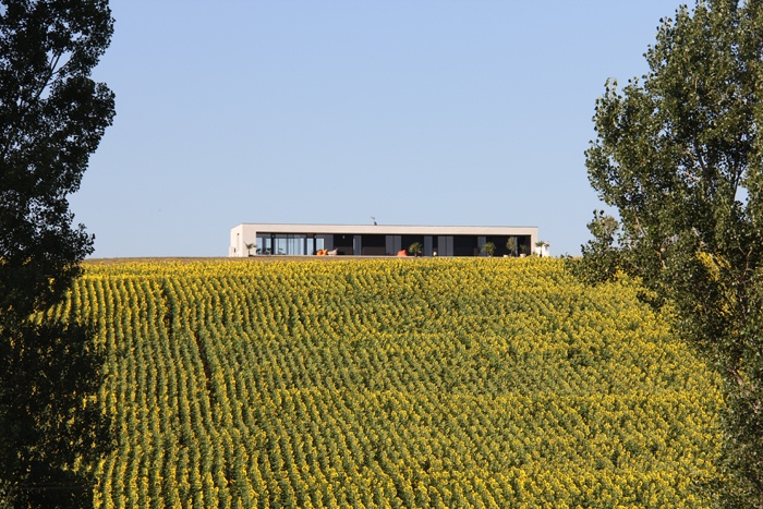 Maison G1 à Corronsac (31) : maison contemporaine (3)